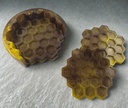 SV Abeilles VGPB